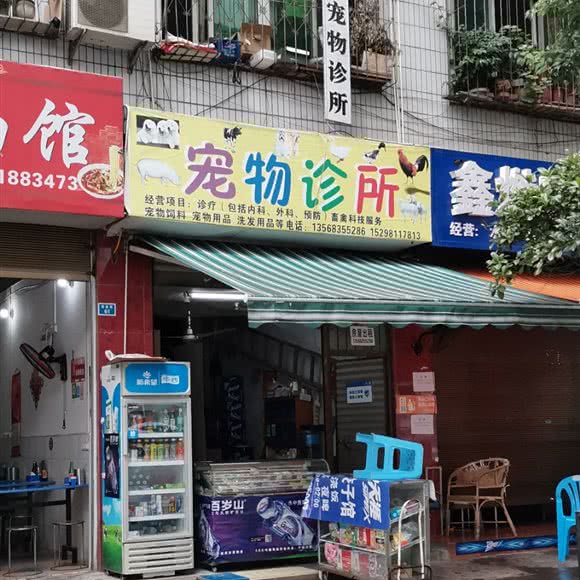 宠物诊所:达州市开江县