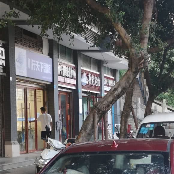 尊宠宠物:巴中市巴州区