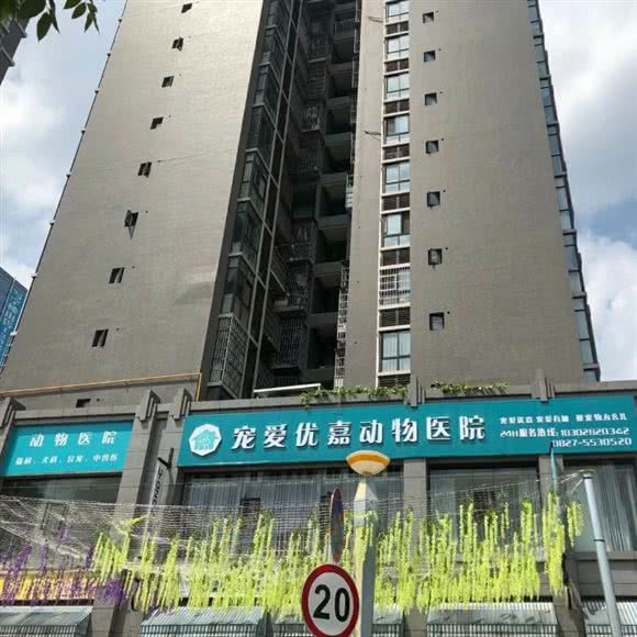 宠爱优嘉动物医院:巴中市巴州区