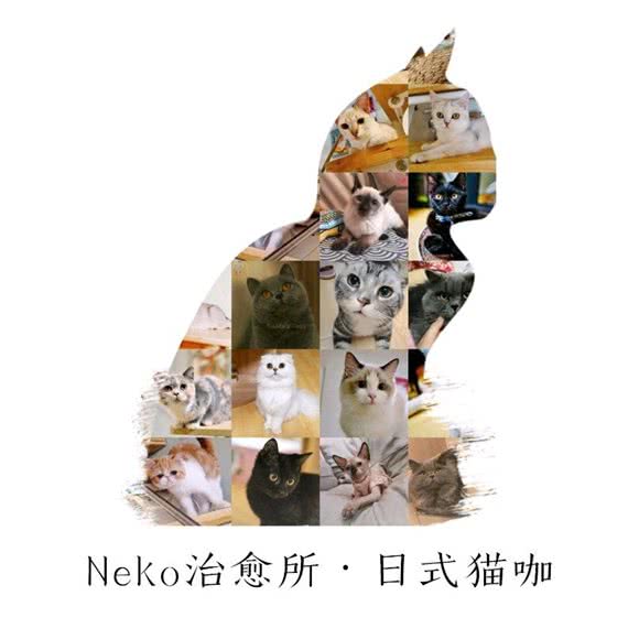 Neko治愈所·西式猫咖:沈阳市铁西区沈辽路万达附近