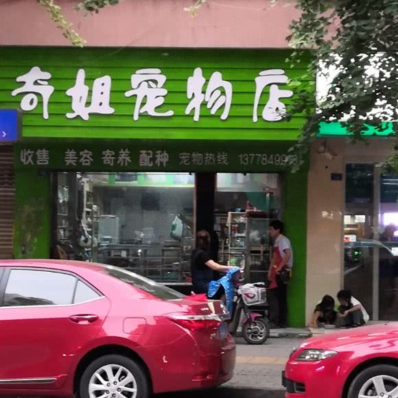 奇姐宠物店:资阳市雁江区