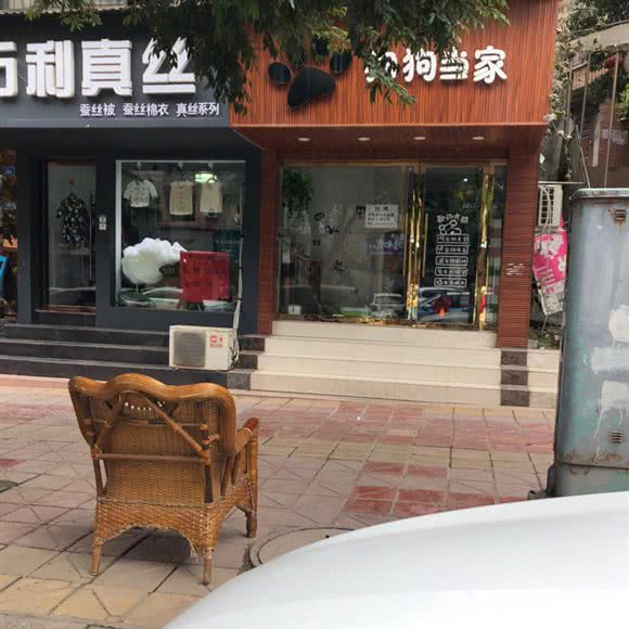 狗狗当家宠物医院:资阳市安岳县