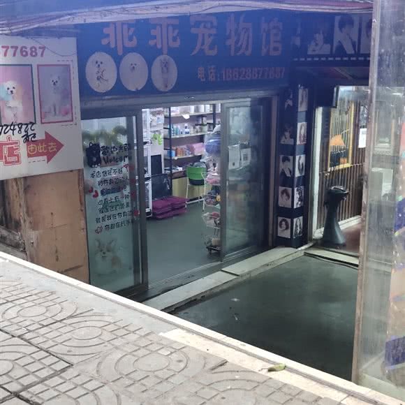乖乖宠物馆:资阳市安岳县