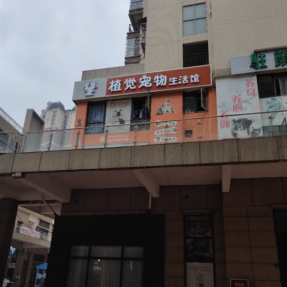 植觉宠物生活馆:资阳市安岳县