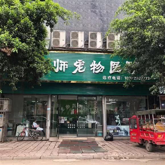 匡老师宠物医院:资阳市安岳县