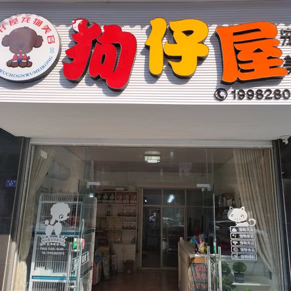 狗仔屋宠物美容:资阳市乐至县