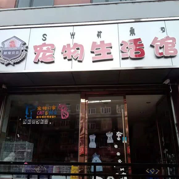 宠物店:凉山彝族自治州西昌市