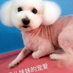 宠爱宠物:凉山彝族自治州西昌市