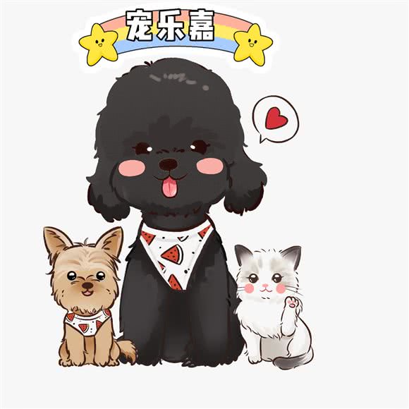 宠乐嘉宠物店:沈阳市铁西区铁西广场附近