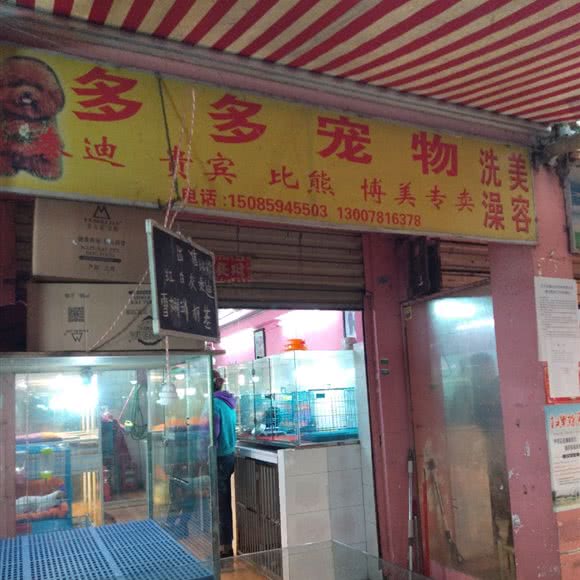 多多狗狗:贵阳市南明区