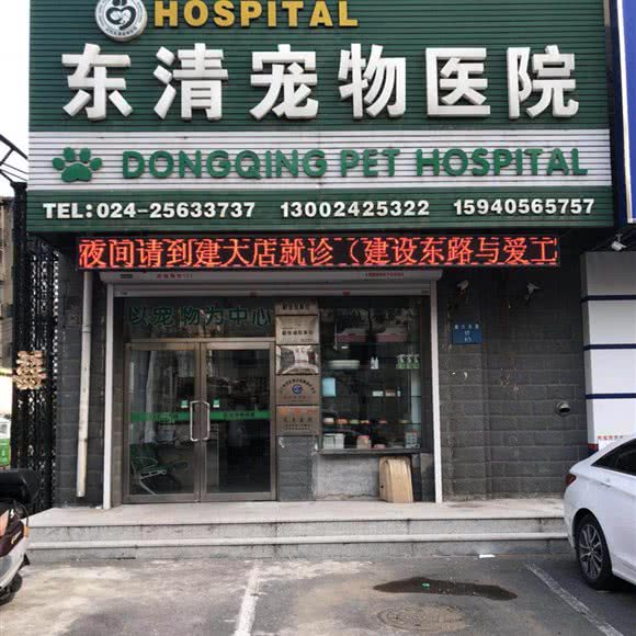 东清宠物医院(云峰店):沈阳市铁西区铁西广场附近