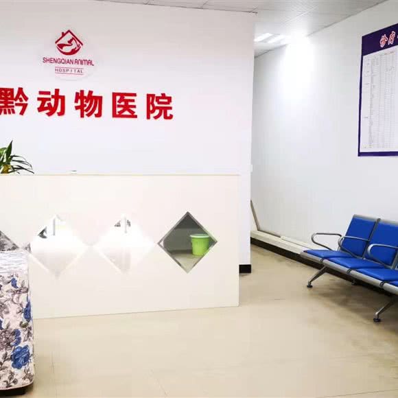 圣黔动物医院:贵阳市云岩区