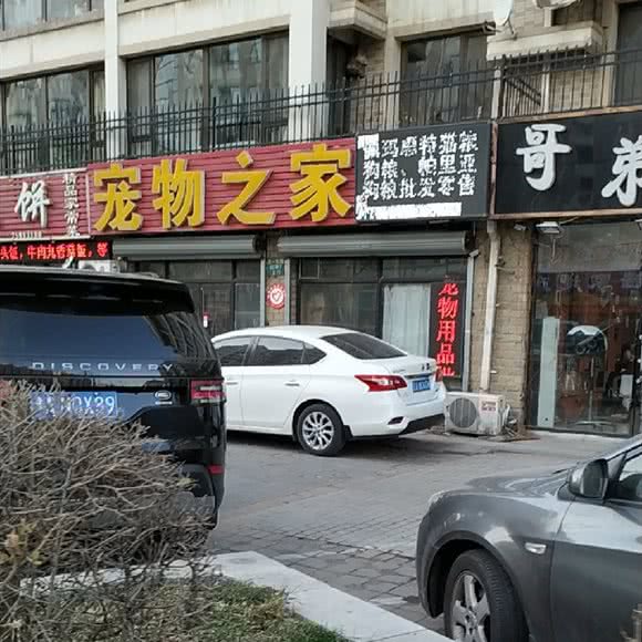 小北一路宠物之家:沈阳市铁西区北二路附近