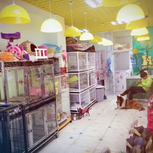 喵小晗宠物店:沈阳市铁西区北二路附近