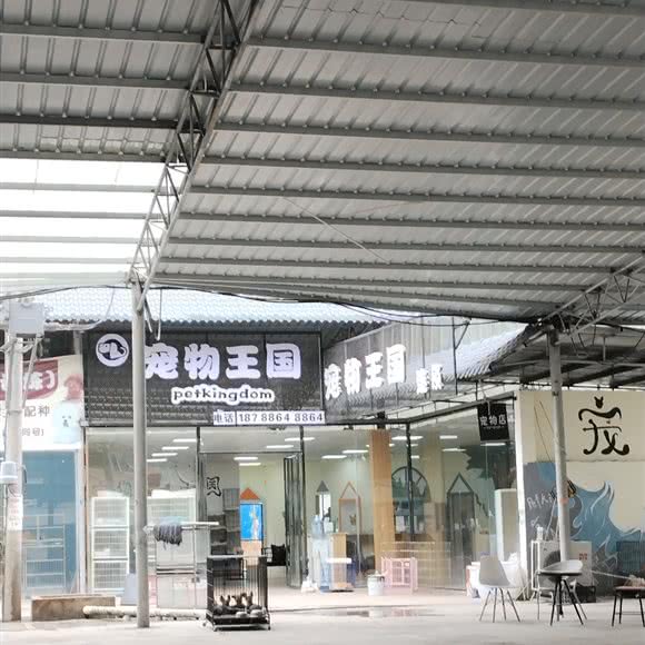 宠物王国:遵义市红花岗区
