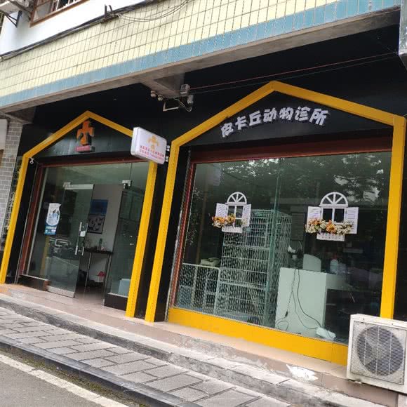 皮卡丘动物医院:遵义市道真仡佬族苗族自治县
