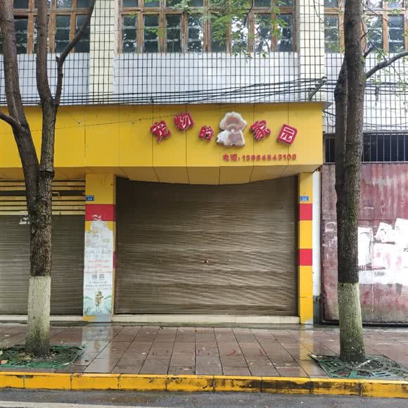 宠物的家园:遵义市湄潭县