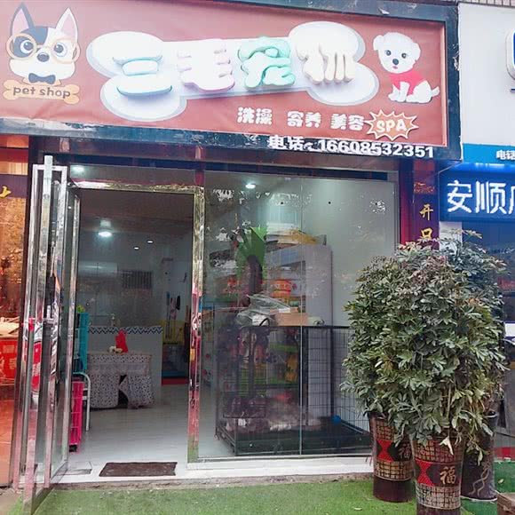 三毛狗狗:安顺市西秀区