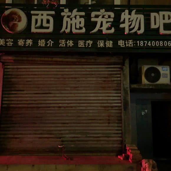 西施宠物吧:沈阳市铁西区重工街沿线附近