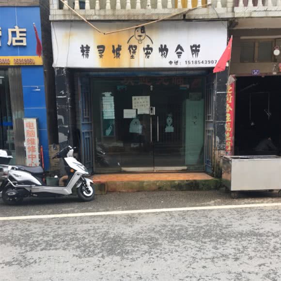 精灵城堡狗狗会所:安顺市紫云苗族布依族自治县