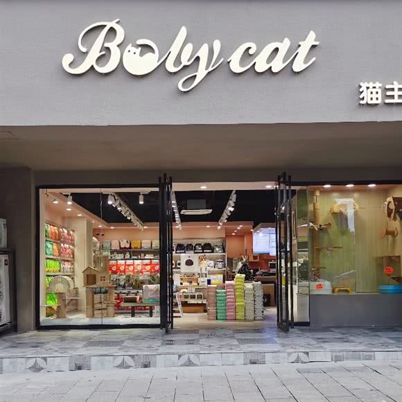 baby cat猫主题生活馆:毕节市七星关区