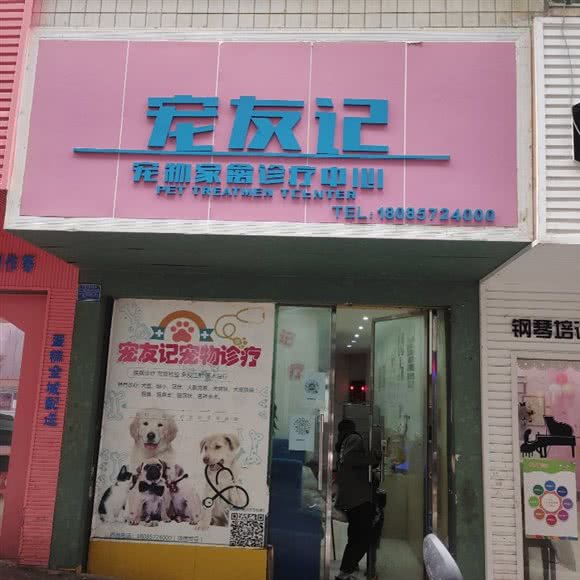 宠友记诊疗中心:毕节市大方县