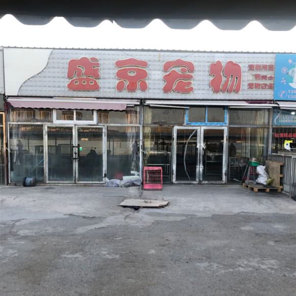 盛京宠物:沈阳市铁西区重工街沿线附近
