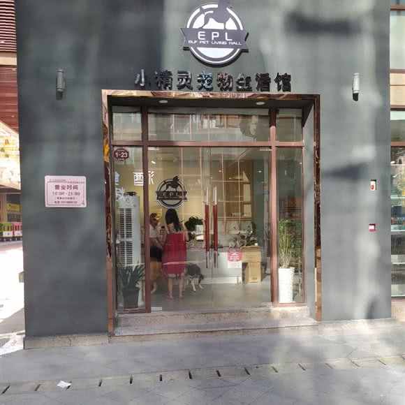 小精灵宠物生活馆:铜仁市碧江区
