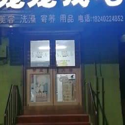 宠宠我吧:沈阳市铁西区重工街沿线附近