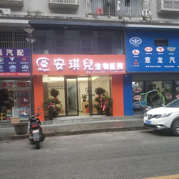 安琪兒宠物医院:铜仁市碧江区