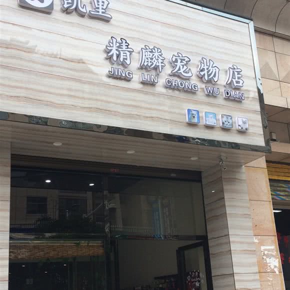 凯里精麟宠物店:黔东南苗族侗族自治州凯里市