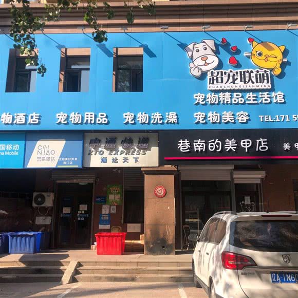 超宠联萌:沈阳市铁西区重工街沿线附近