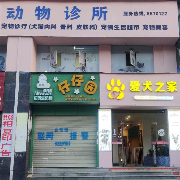 爱犬之家宠物诊所:黔东南苗族侗族自治州凯里市