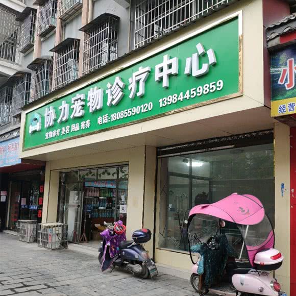 协力宠物诊疗中心:黔东南苗族侗族自治州天柱县