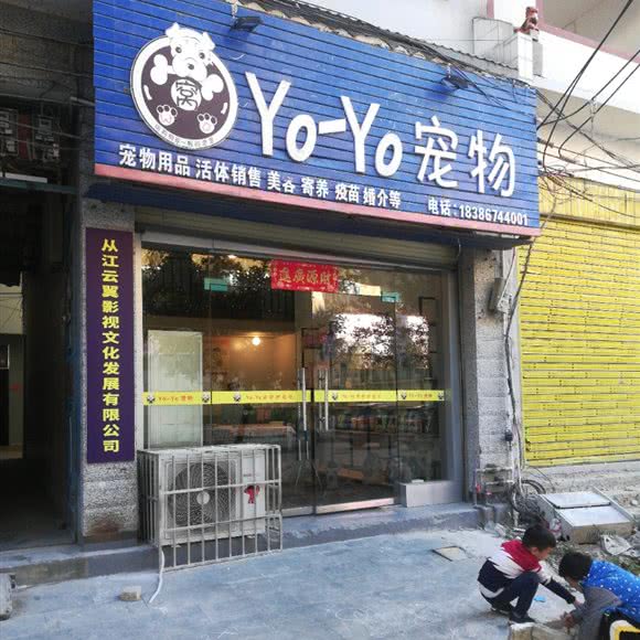 Yo-Yo宠物:黔东南苗族侗族自治州从江县