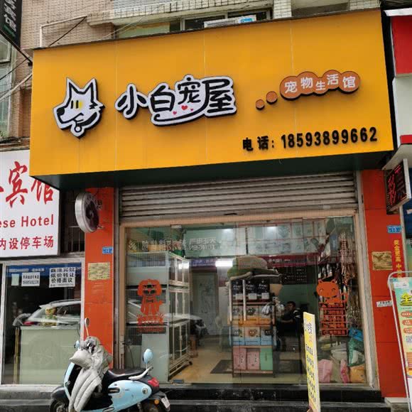 小白宠屋:黔南布依族苗族自治州都匀市