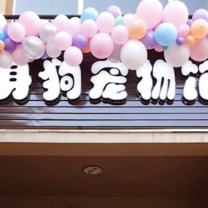 单身狗宠物馆:昆明市西山区