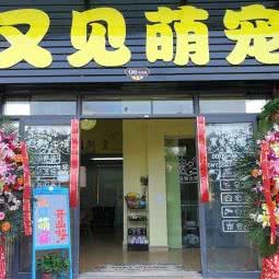 又见萌宠:昆明市呈贡区
