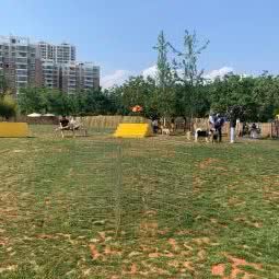 哈士奇之家宠物森林公园:昆明市呈贡区