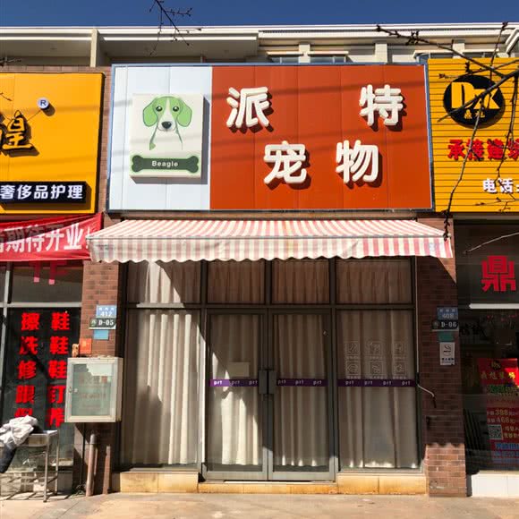 派特宠物:昆明市呈贡区