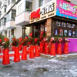 汪小喵的宠物店:沈阳市铁西区兴工街/沈阳站西广场附近