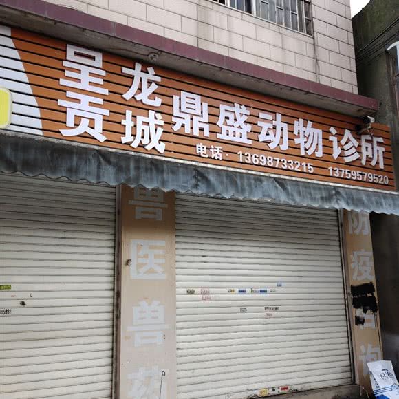 鼎盛动物诊所:昆明市呈贡区