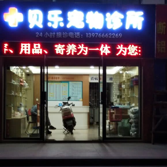贝乐宠物诊所:昆明市呈贡区