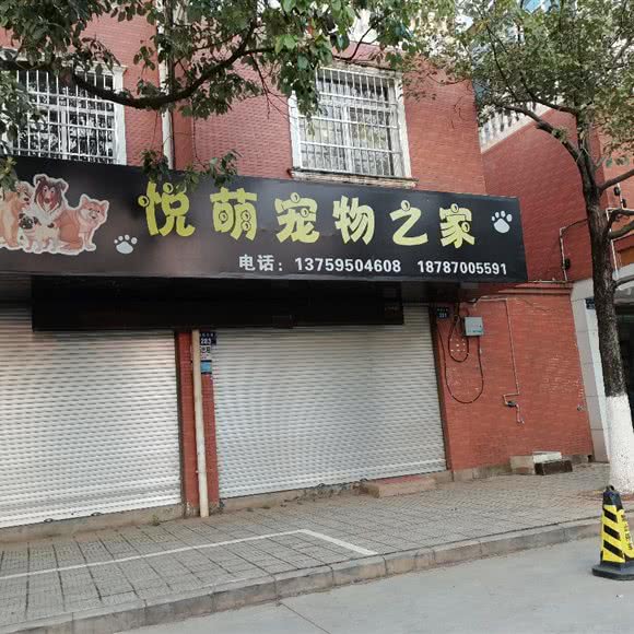 悦萌宠物之家:昆明市晋宁区
