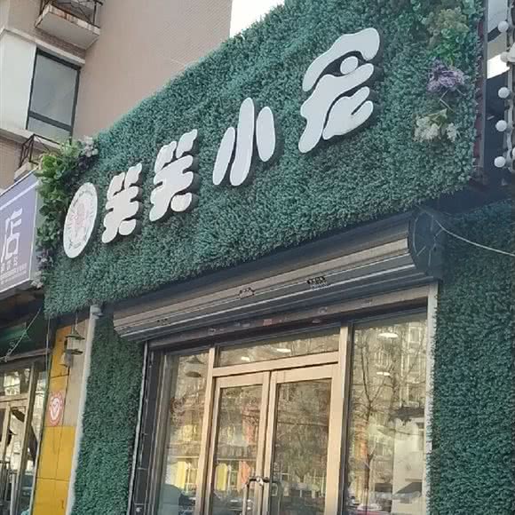 笑笑小宠(爱工北街店):沈阳市铁西区兴工街/沈阳站西广场附近