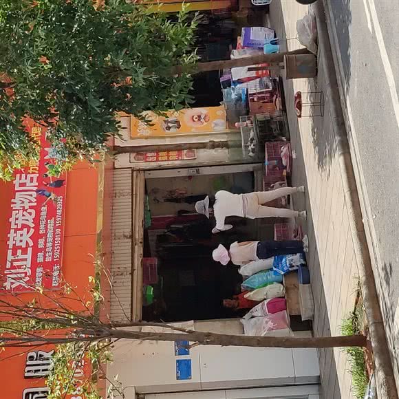 刘正英宠物店:昆明市宜良县