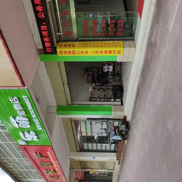 乐萌宠物店:昆明市宜良县
