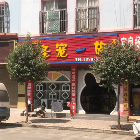 圣宠一族宠物美容店:昆明市宜良县
