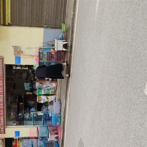 渔乐宠物之家:昆明市宜良县