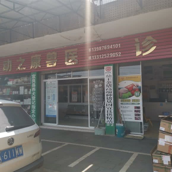 动之康兽医诊所:昆明市宜良县